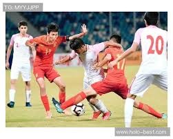 牛牛高手为何稳（揭秘牛牛高手的稳健之道）